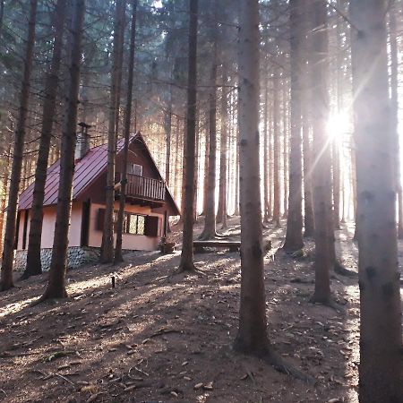 Chata Adavy Liptovský Ján Esterno foto