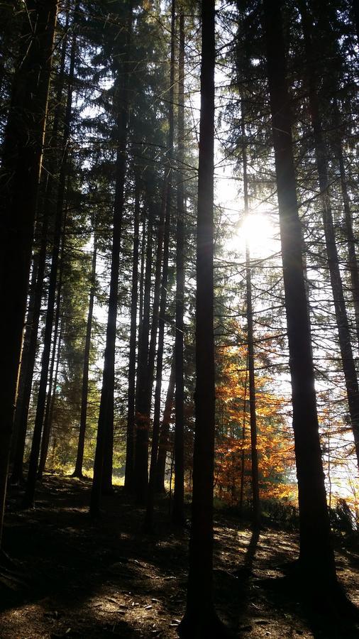 Chata Adavy Liptovský Ján Esterno foto