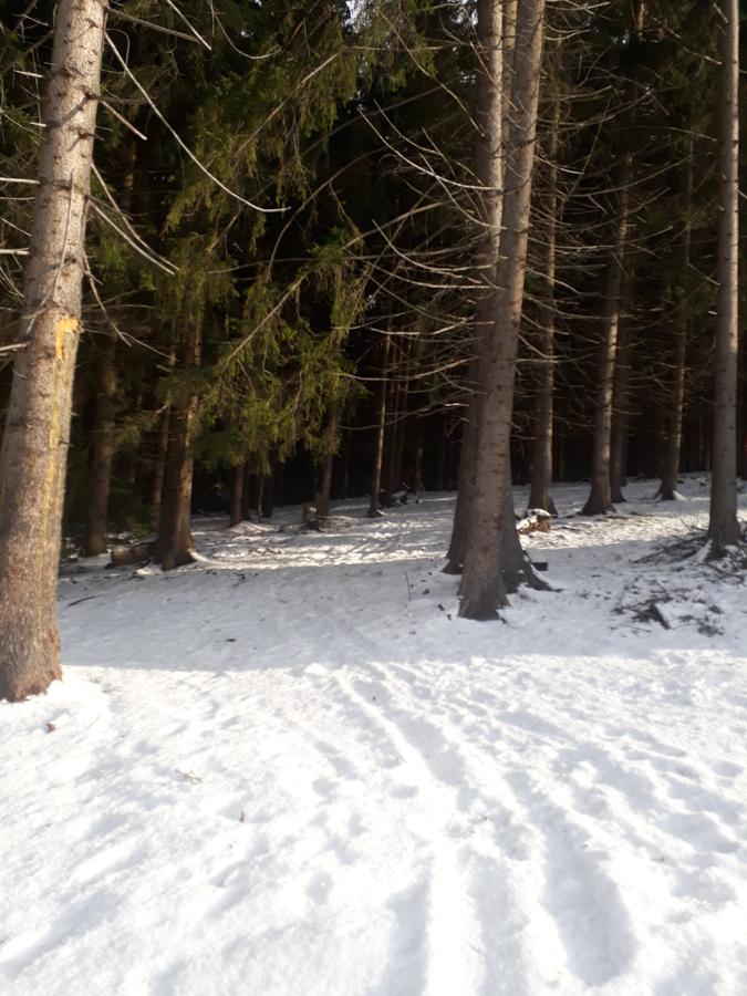 Chata Adavy Liptovský Ján Esterno foto
