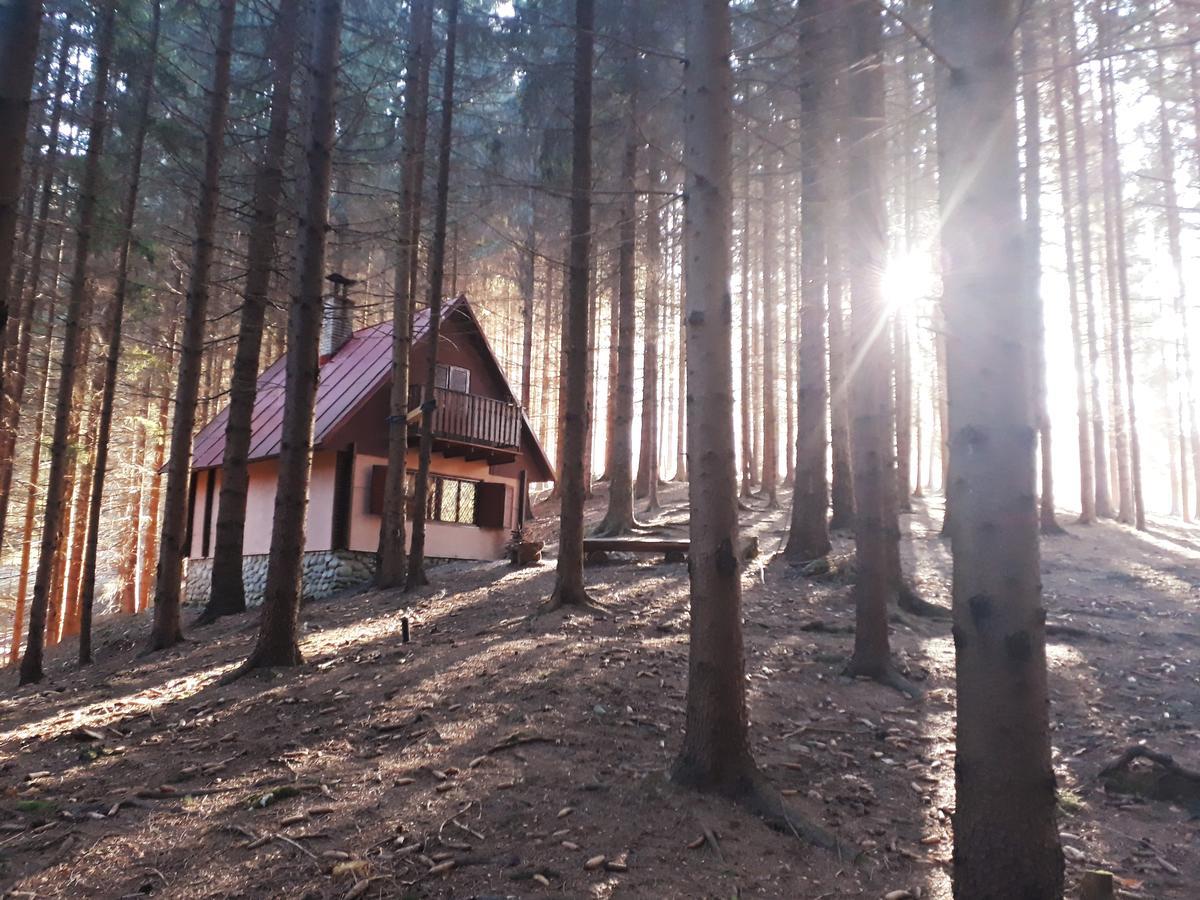 Chata Adavy Liptovský Ján Esterno foto