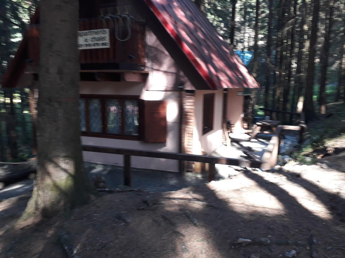 Chata Adavy Liptovský Ján Esterno foto