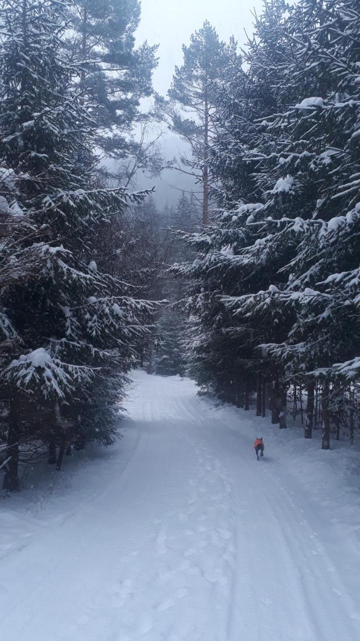 Chata Adavy Liptovský Ján Esterno foto
