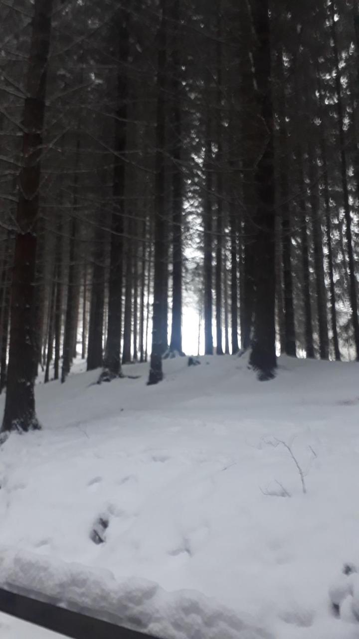 Chata Adavy Liptovský Ján Esterno foto